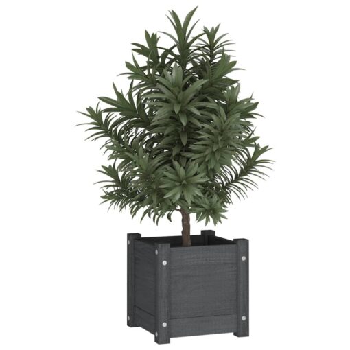 Garden Planter Grey 31x31x31 cm Solid Pinewood - Image 3